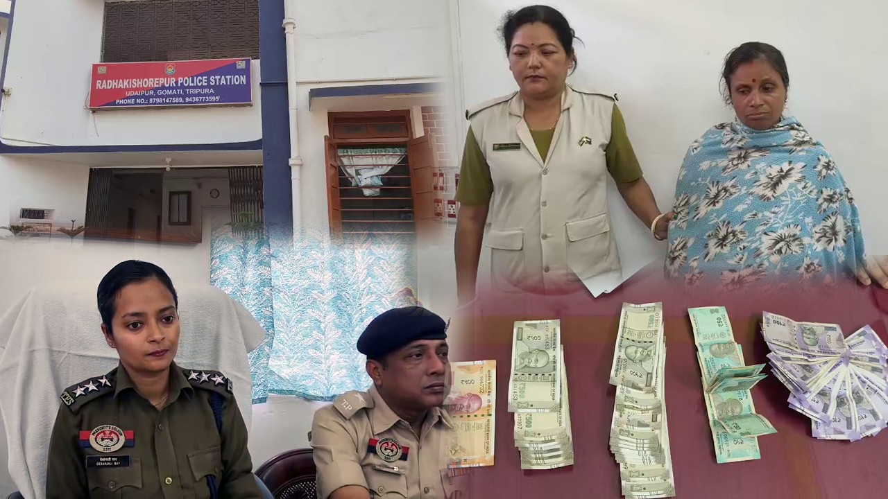 Udaipur Police Arrest Woman in Connection with Theft