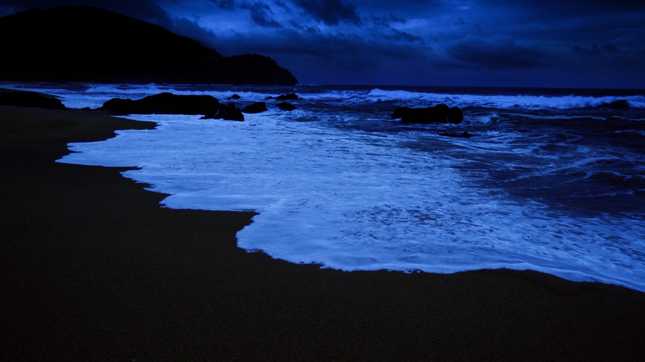Sleep Instantly In Under 4 Minutes — Relaxing Night Ocean Sounds for Complete Recovery and Insomnia