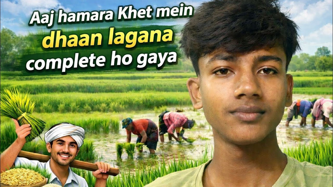 Finally Completed 🌾 | Aaj hamara Khet mein Dhaan Lagana Complete Ho Gaya | Village Farming Vlog