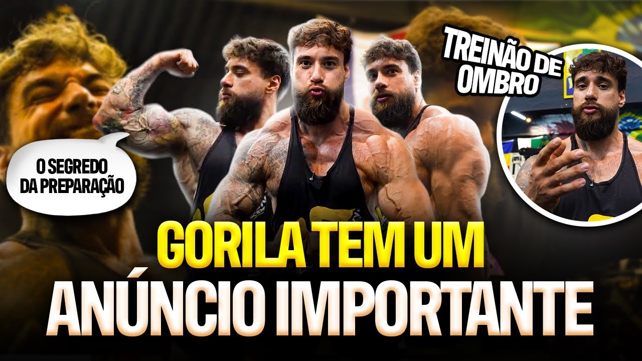 GORILA TEM UM NOVO DESAFIO PELA FRENTE 