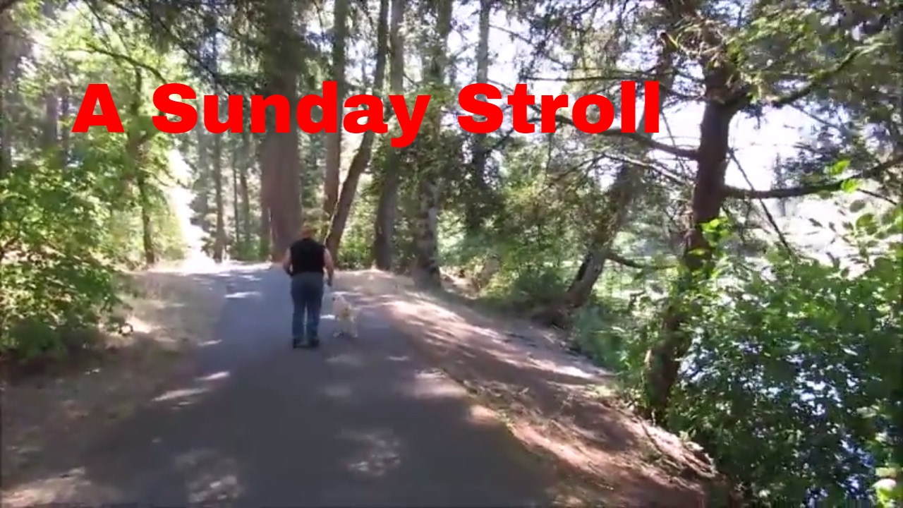 Granny Takes a Sunday Stroll