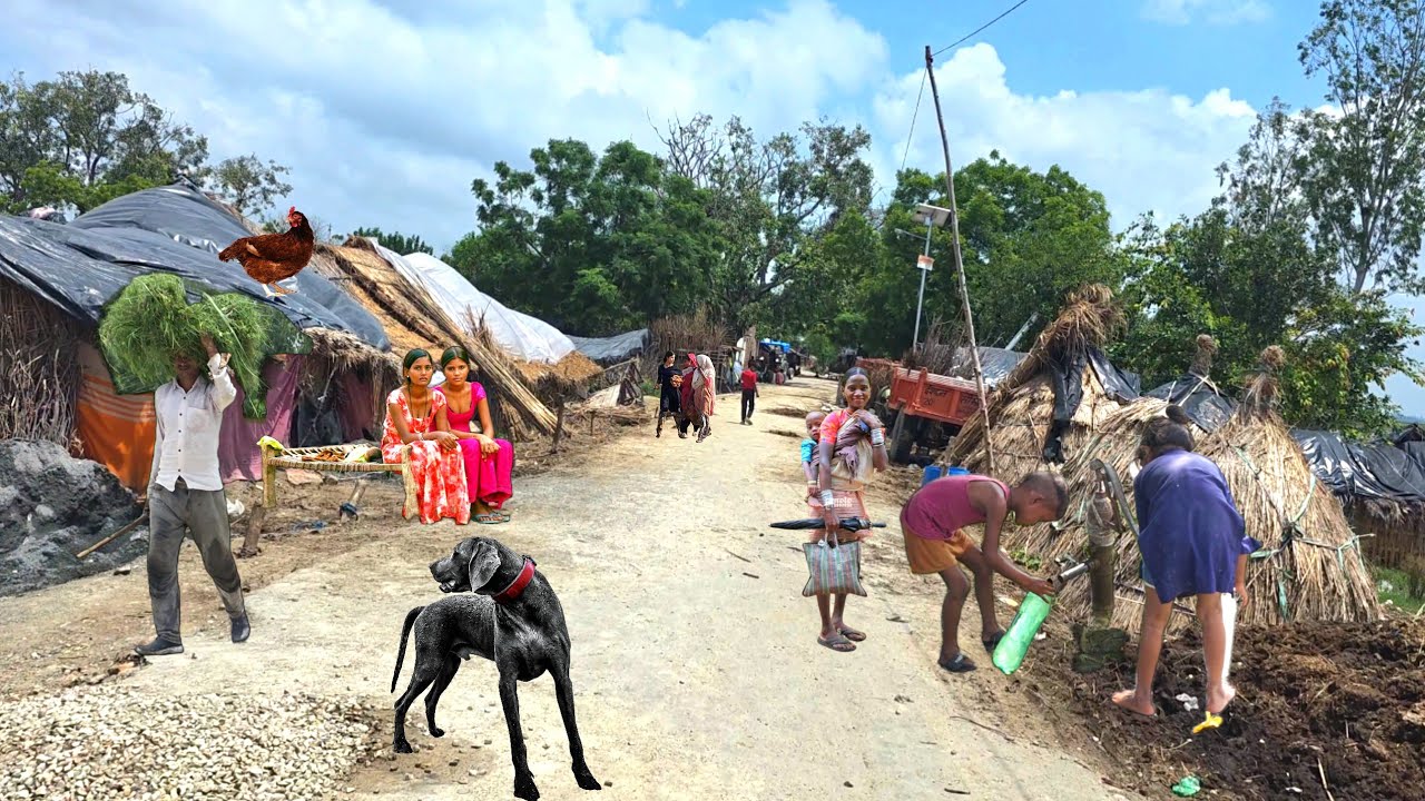 India Was Not Like This Before🇮🇳 [ Some Unexplored Regions Of India ] Most Populated Areas India