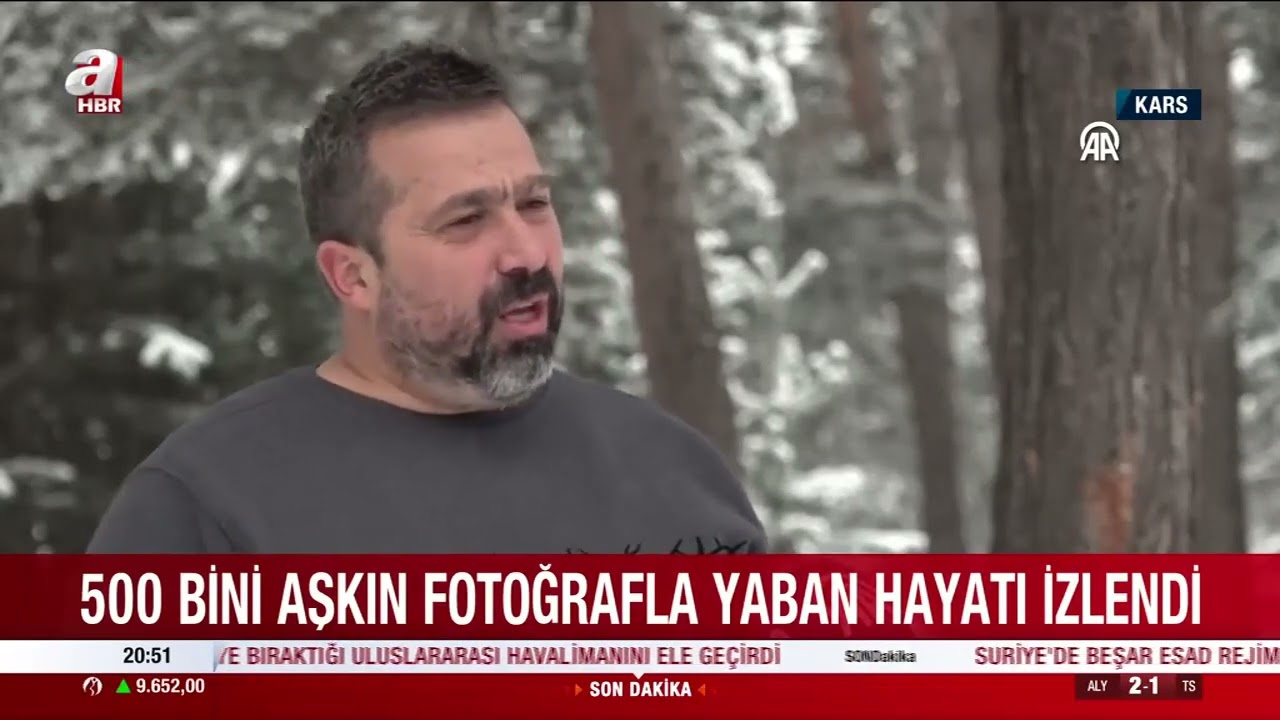 500 bini aşkın fotoğrafla yaban hayatı izlendi