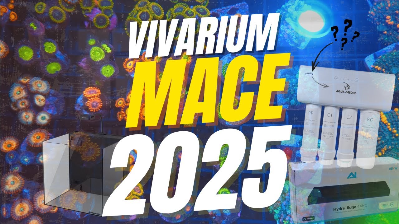 VIVARIUM/MACE Holland 2025 – Die ultimative Messe für Meerwasser, Aquascaping & Terraristik!