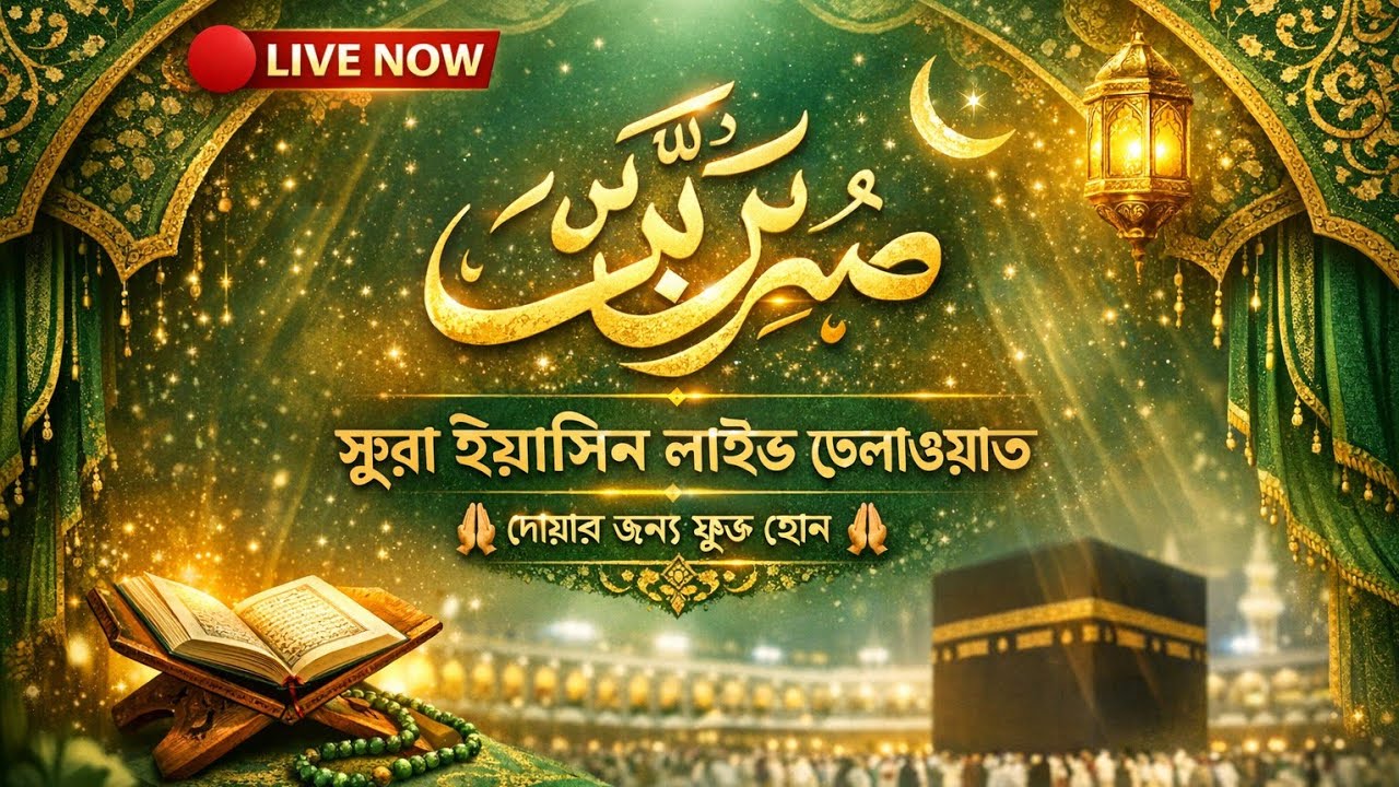 🔴 Surah Yaseen Live | সূরা ইয়াসিন তেলাওয়াত লাইভ | হৃদয় প্রশান্তির জন্য কুরআন তেলাওয়াত