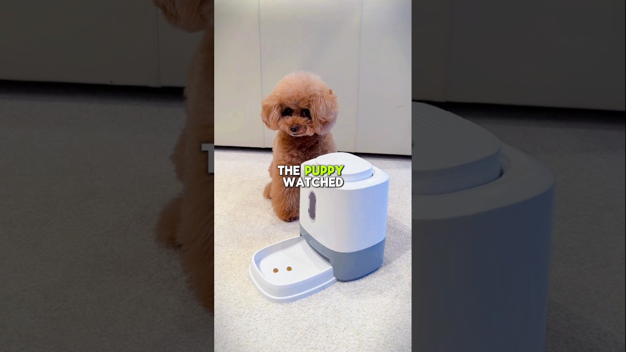 Puppy Fixes the Snack Machine