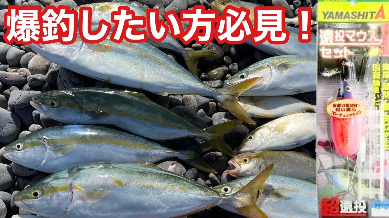 【これ見ると爆釣】知らないと損！ボウズを爆釣に変える正しい使い方、コツ教えます【サーフトローリング】