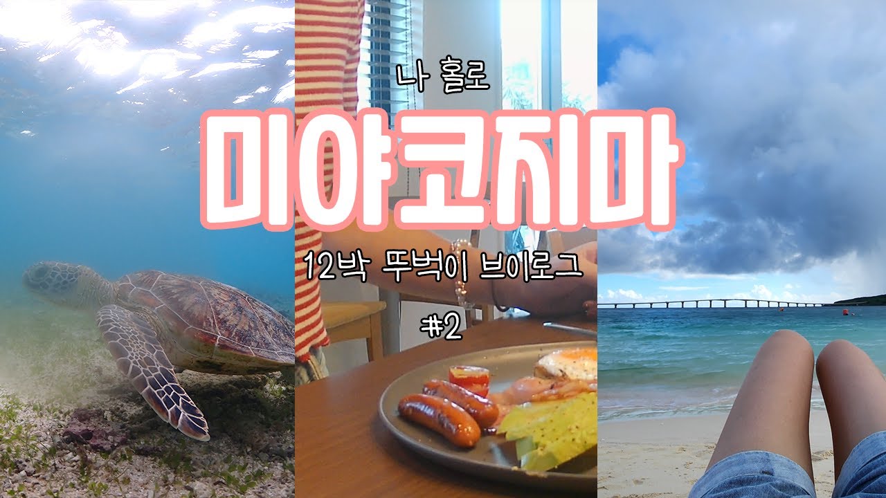 [미야코지마#2]스노쿨링.바다거북이. 마에하마&선셋&토리바 비치. 호텔주변에서 게으른 일상.