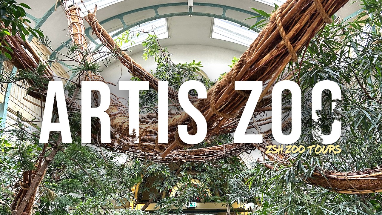 ARTIS Tour | The Beautiful Zoo of Amsterdam!