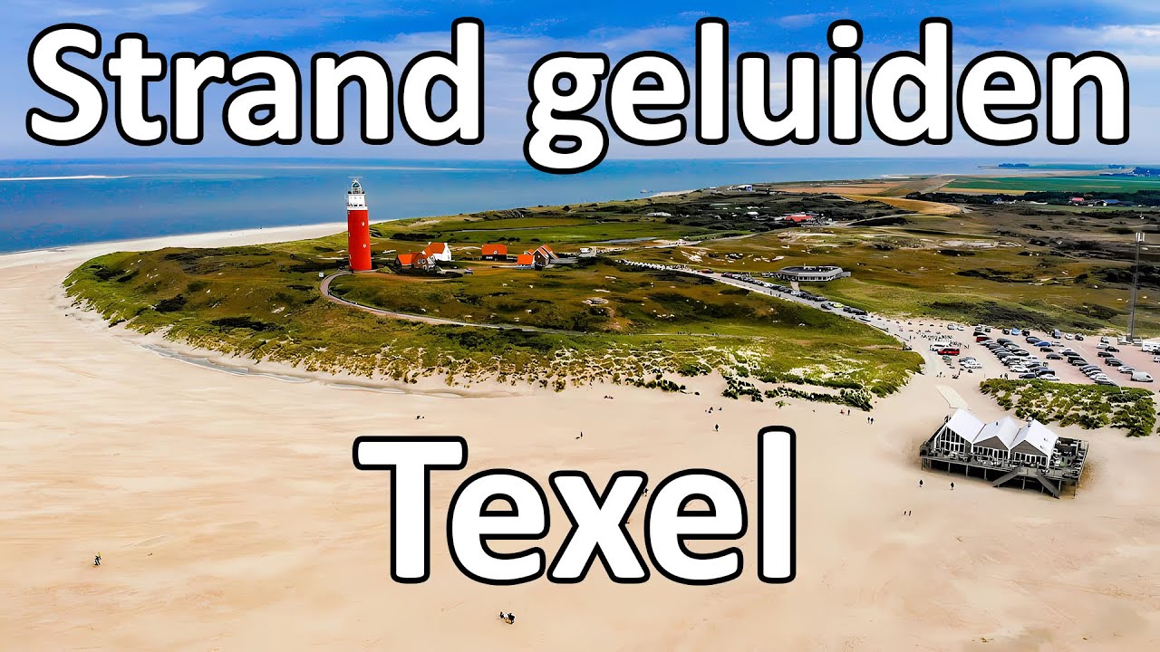 Strand geluiden Texel | ASMR Noordzee geluiden | Slaapgeluiden strand van Texel [Zwart scherm]