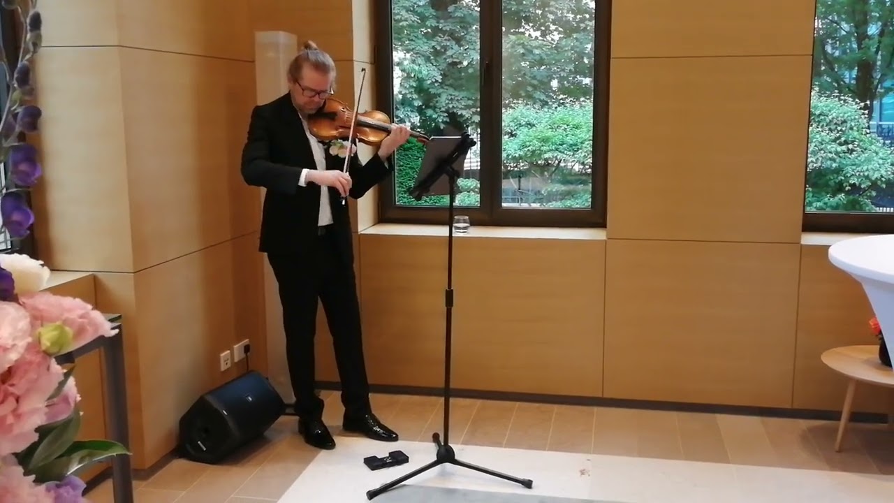 Violon Solo Animation Classique