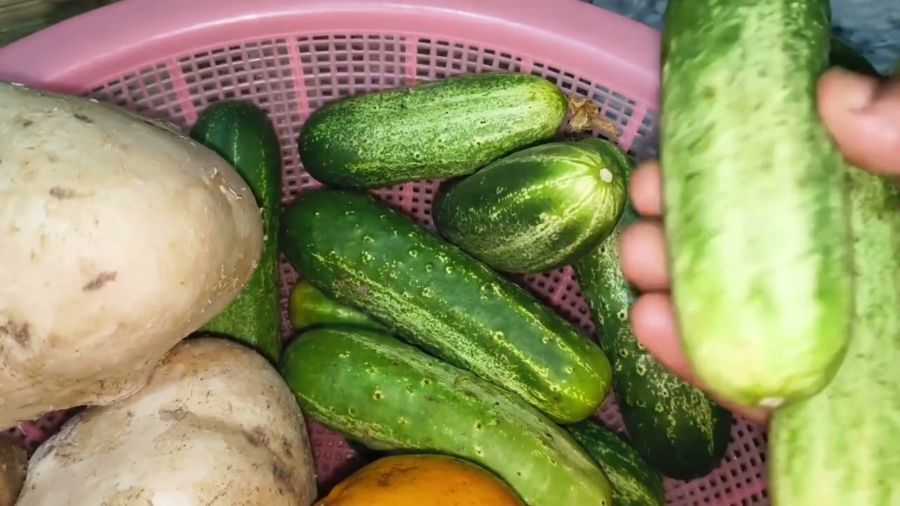 আজ আব্বা মা আমার বাড়িতে এল আমাকে দেখতে 