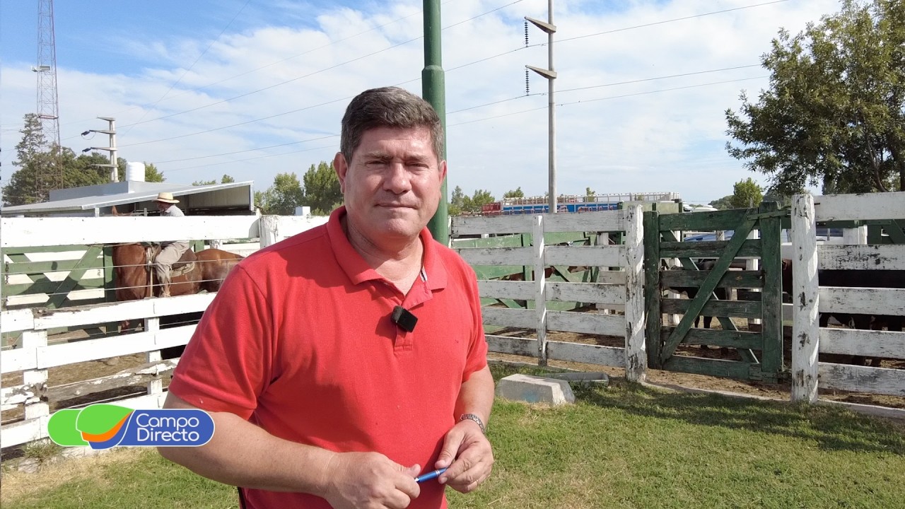 Programa Campo Directo 573 07-03-2026