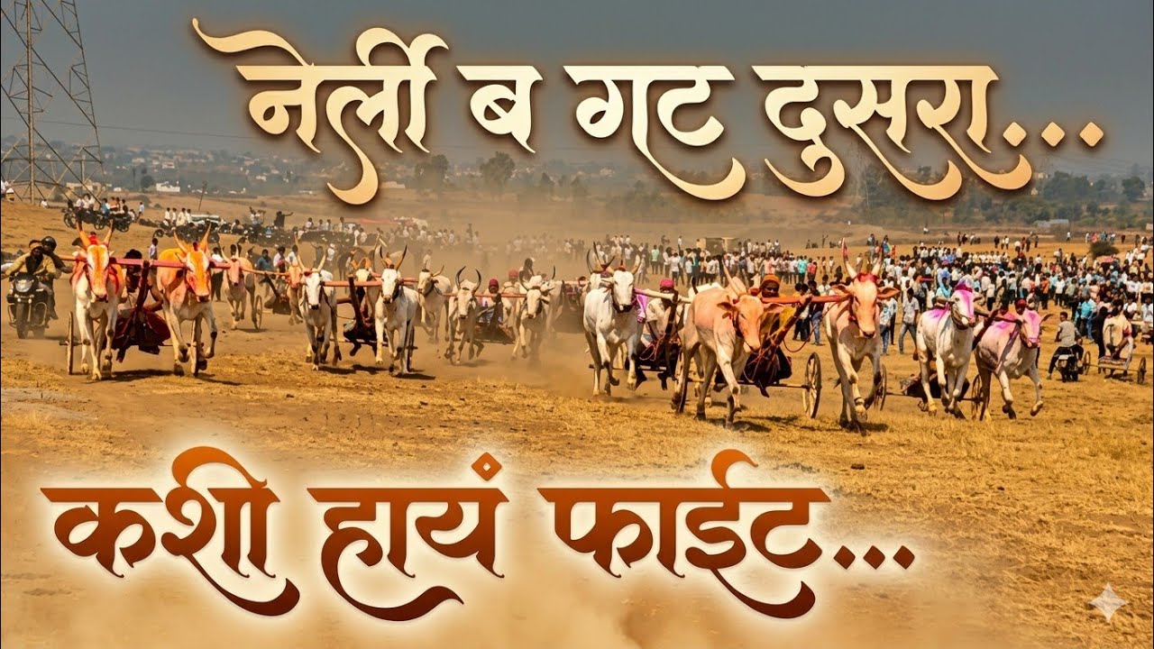 नेर्ली ब गट (दुसरा) कशी हायं चुरस Nerli b gat (Dusra) #sharyat #bailgadisharyat #bull #bullrace 