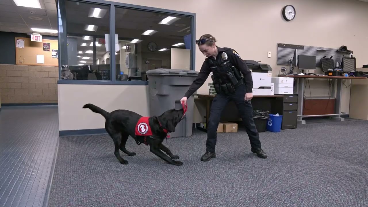 Police Department Welcomes First Wellness Dog