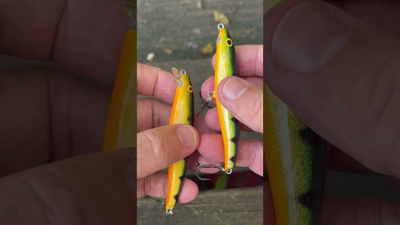 Rapala Broken or Not 9 20 2025 #jeffmcgovern #pestcoach #rapalalures