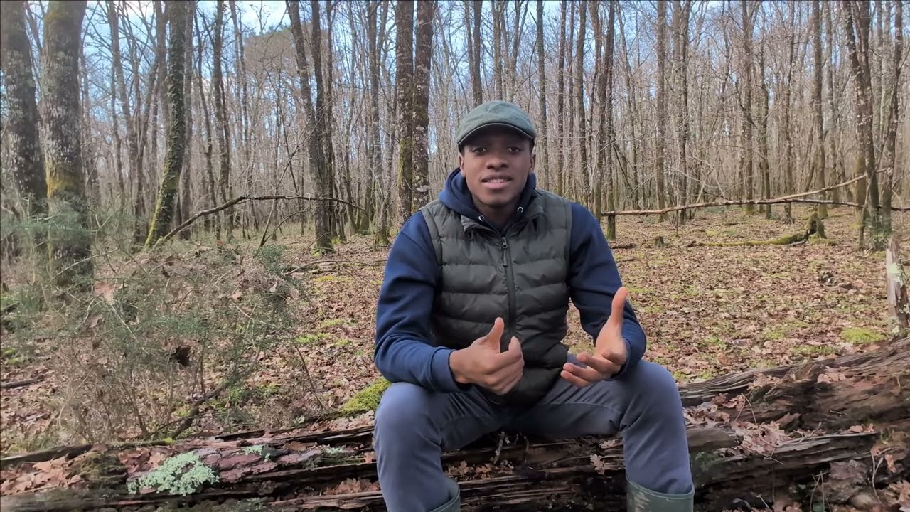 Pourquoi il est super important aujourd'hui, de ce BALADER en forêt en 2026