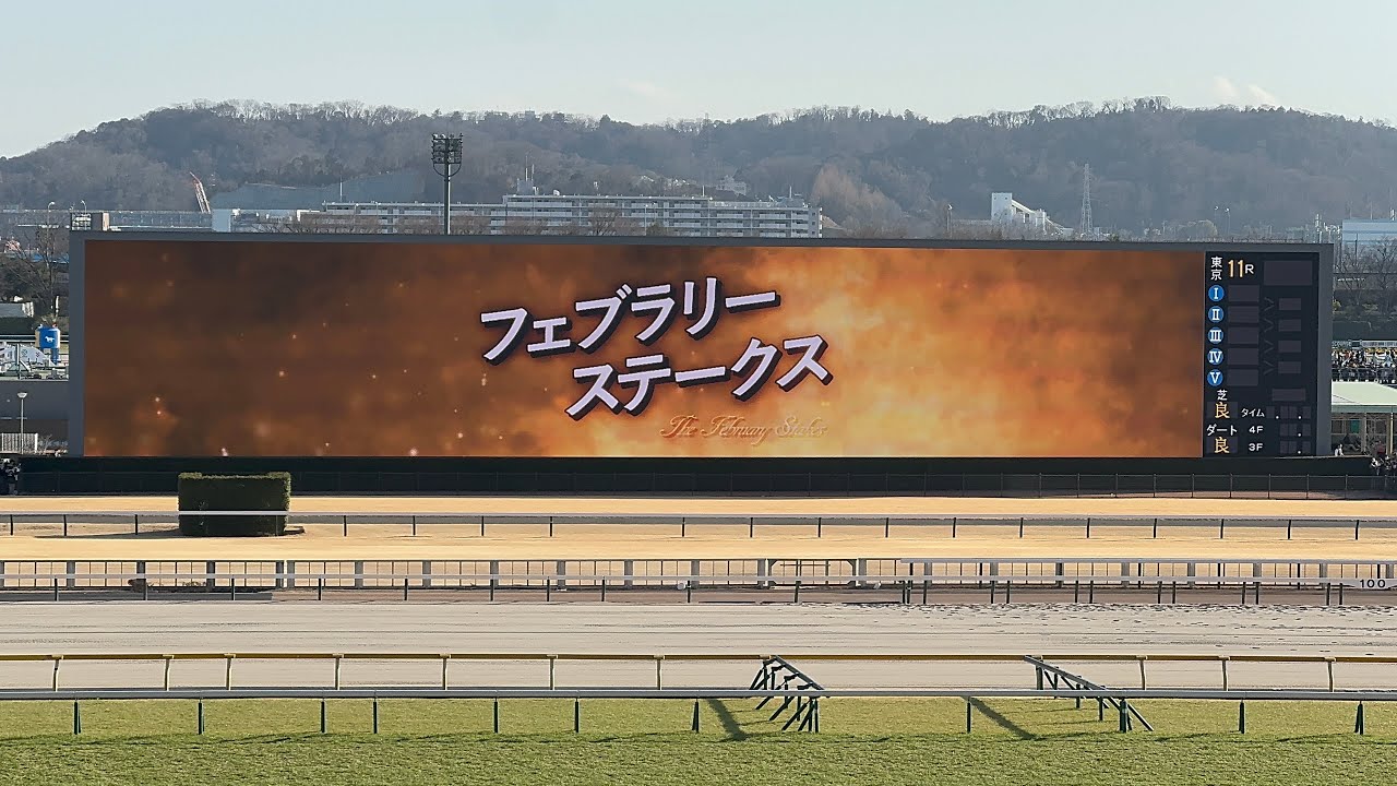 【フェブラリーS 2026】カッコいい煽りV〜今年初G1ファンファーレ【現地4K撮影】