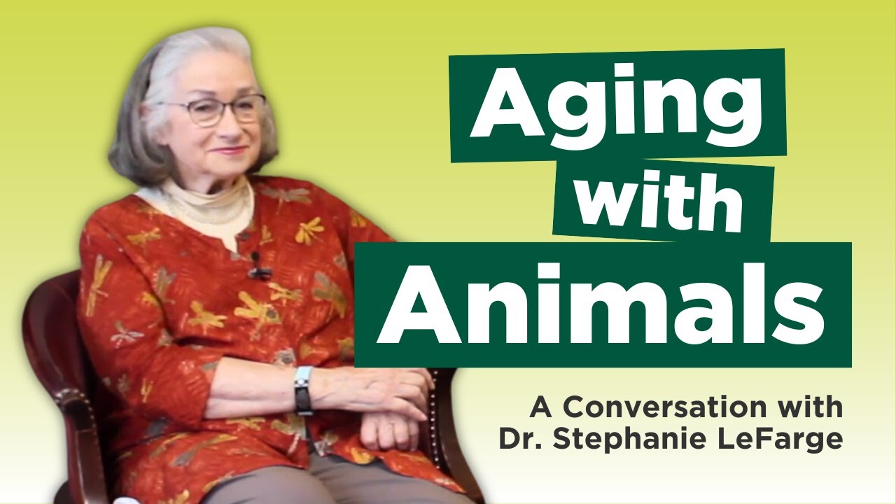 Aging with Animals: A Conversation with Dr. Stephanie LaFarge Ph.D.