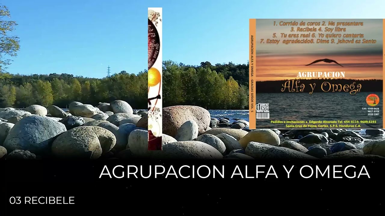 Volumen 5