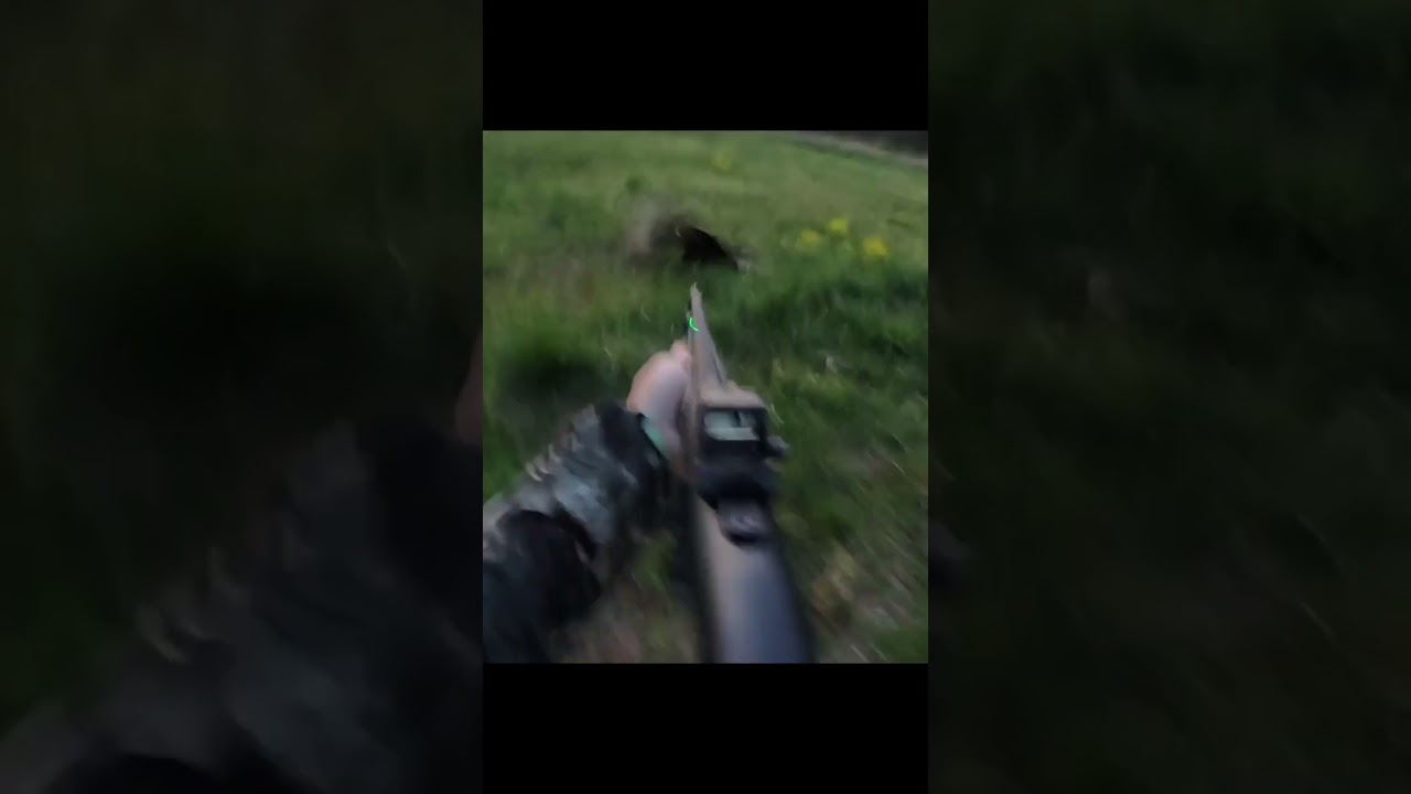 Turkey hunt gone melee #Jesus #GrayGang