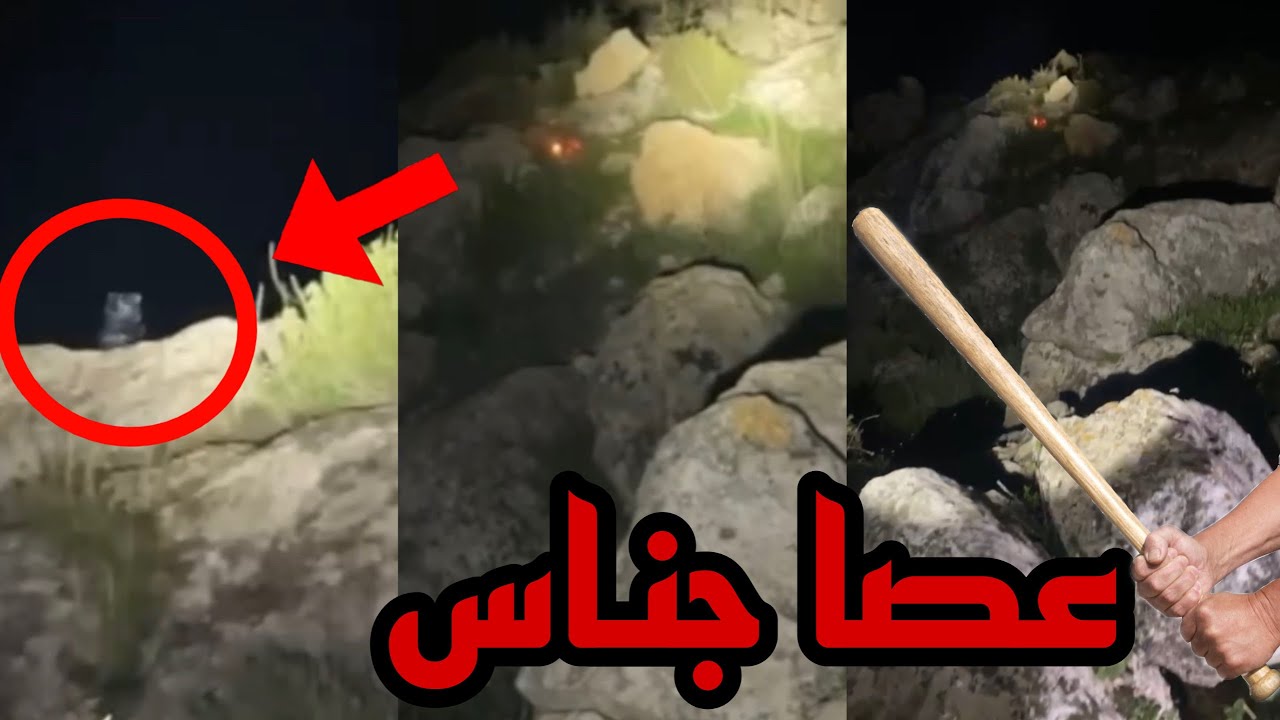 عصا جناس تدلنا على موقع كتاب جناس داخل صخرة ران شاهد ما حدث