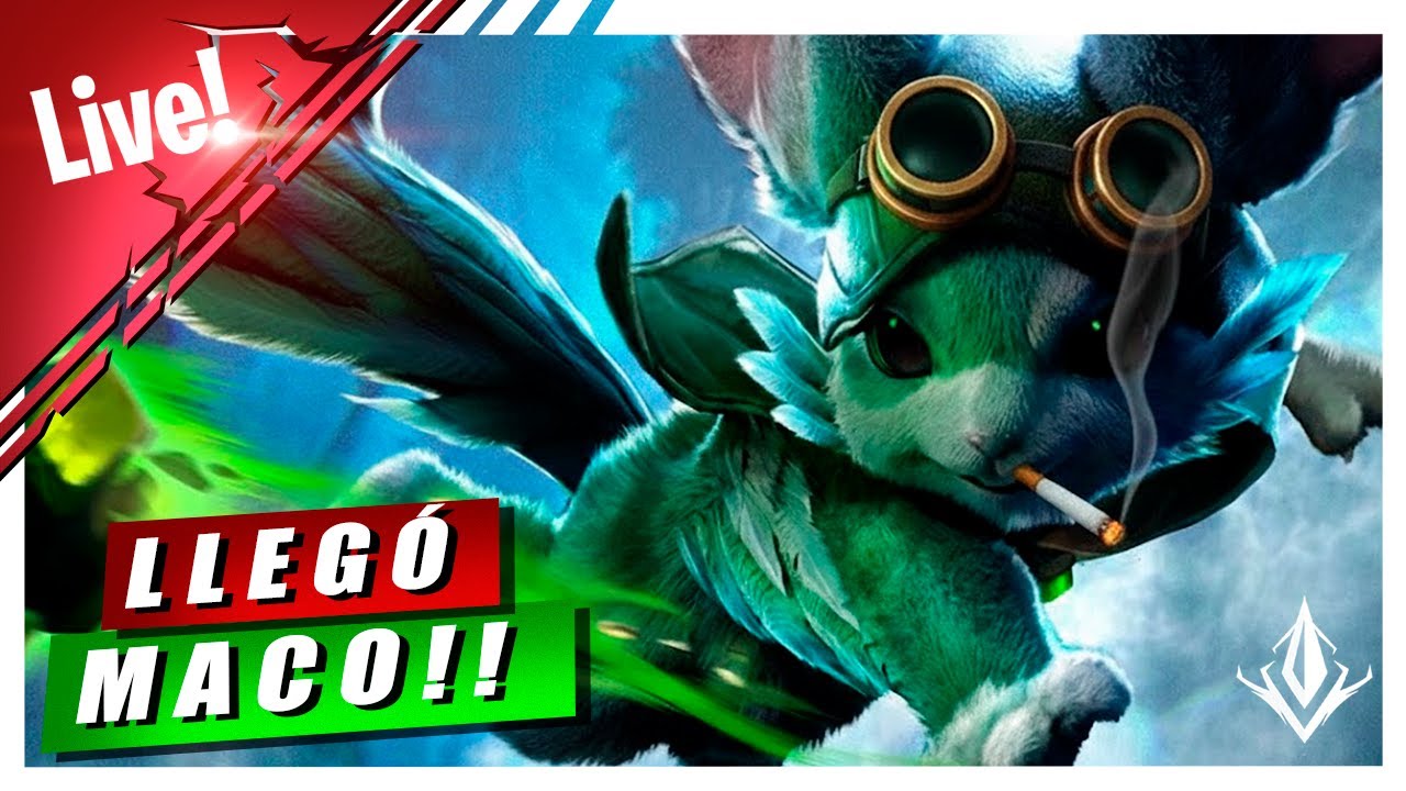 LIVE🔴LLEGÓ MACO!!!!