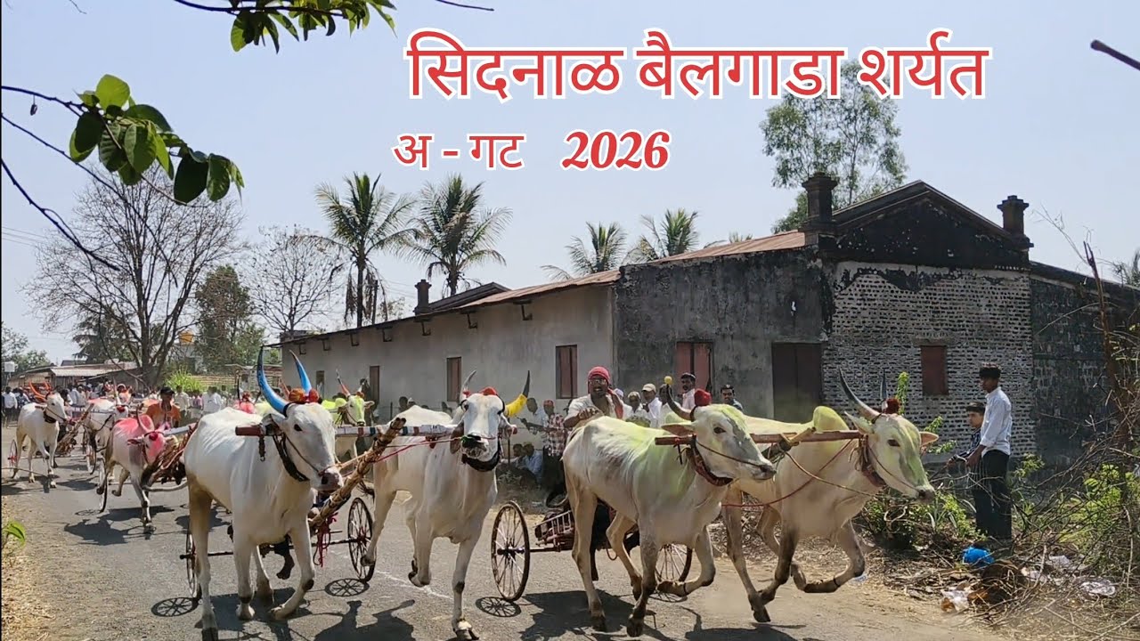 Sidnal General Bailgada Sharyat 2026 /  सिदनाळ जनरल बैलगाडा शर्यत 2026