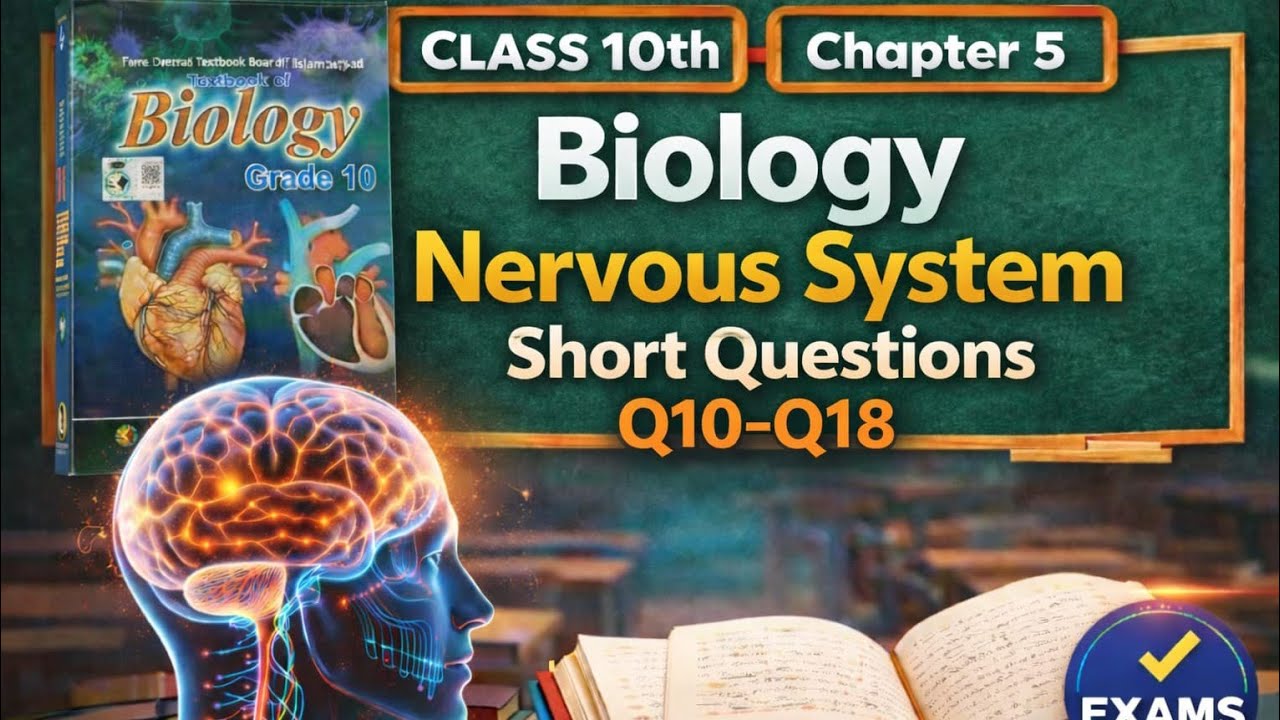 Class 10 Biology Chapter 5 Nervous System | Questions 10–18 