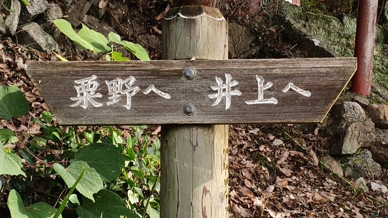 [秩父市]林道　粟野山線[埼玉県]