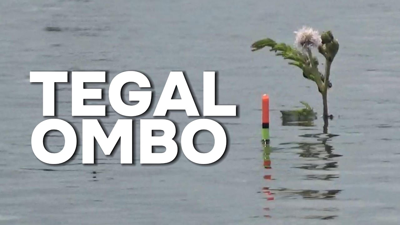 GALOMBO EROMOKO || SPOT UJUNG WGM