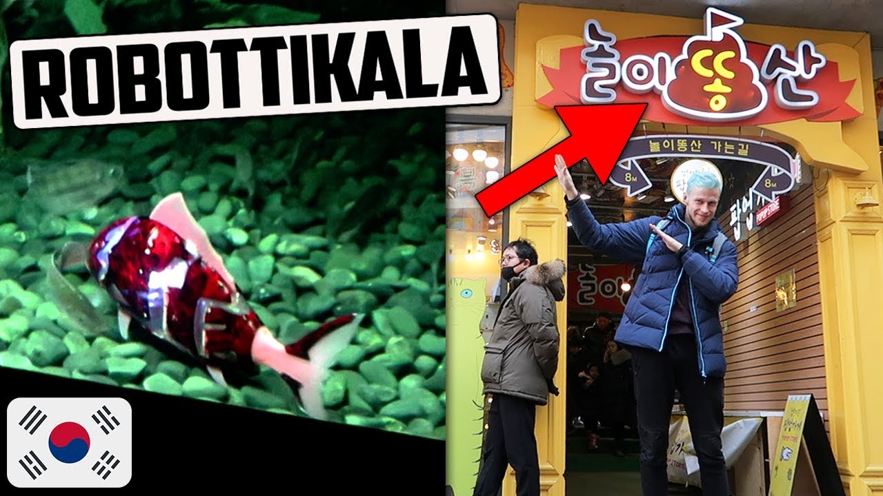 Kävin Poopoo Landissa ja mun Uudessa Lemppariakvaariossa!