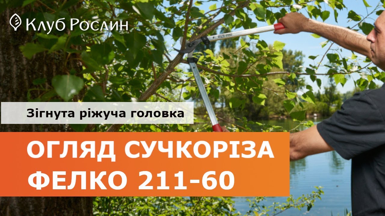 FELCO 211-60: САМЫЙ БОЛЬШОЙ В ЛИНЕЙКЕ СУЧКОРЕЗОВ С ИЗОГНУТЫМ ЛЕЗВИЕМ (Швейцария)