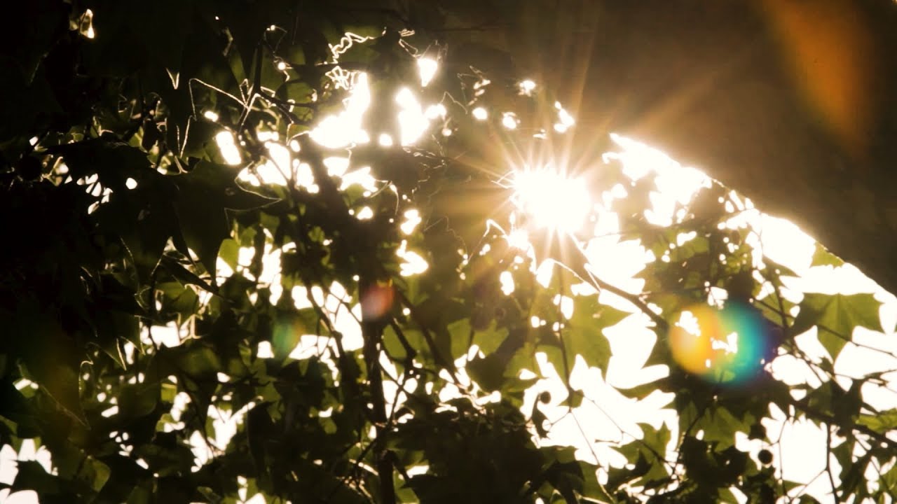 Open Air Theatre Venue Trailer 2019