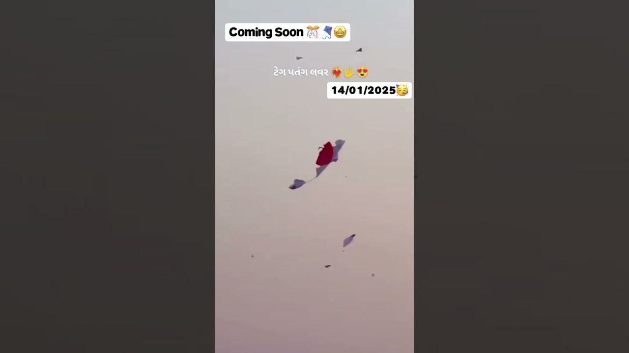 Uttrayan kite video 😍🪁  | Uttrayan status 2025  | Gujrati Uttrayan video  | 