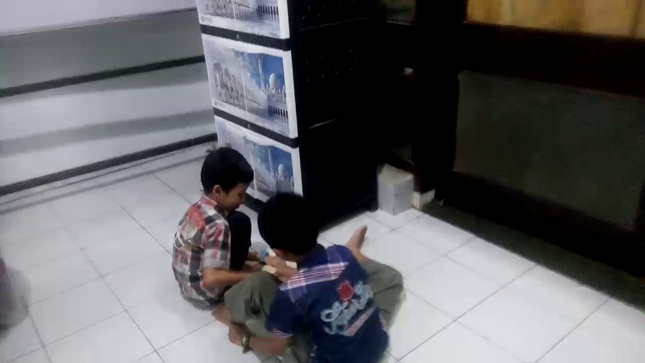 Penampakan Kucing Persia Masjid Agung Medan