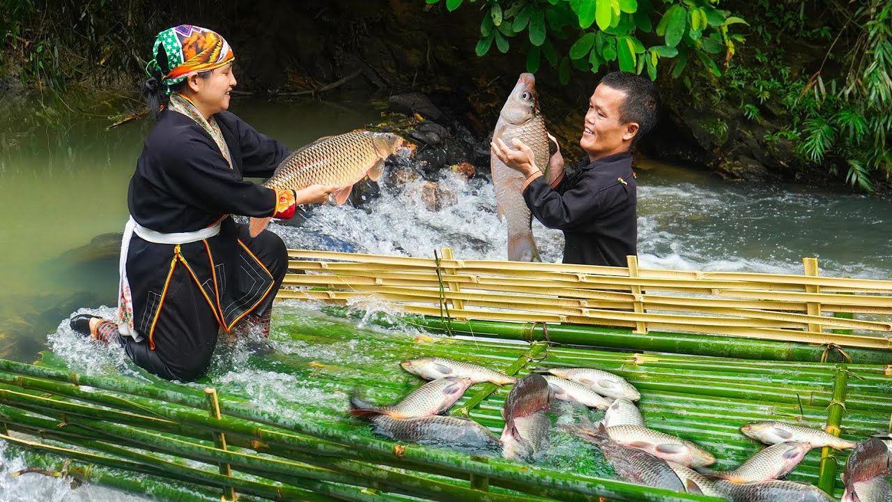 Journey of making fish traps in the wild and Dwarf family caught a lot of fish to sell.