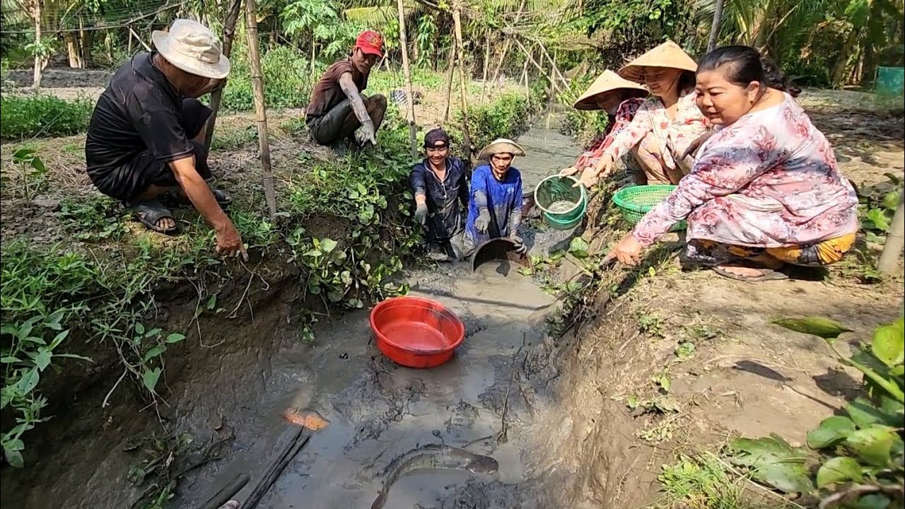 Quá Sức Trận Này Cả Nhà Ra Vườn Tát Đìa Bắt Cá Đã Tay | BQCM & Family T657