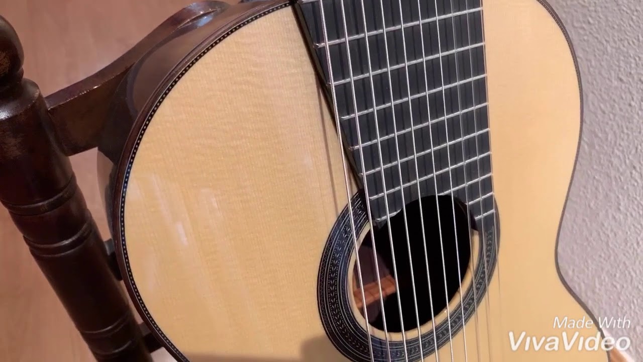 GUITARRA 10 CUERDAS CONCIERTO