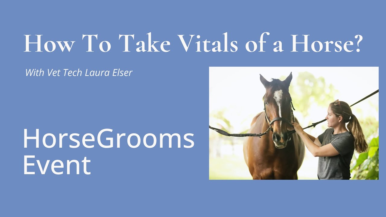 HGE: How to Take the Vitals of a Horse with Laura Elser - Part 1