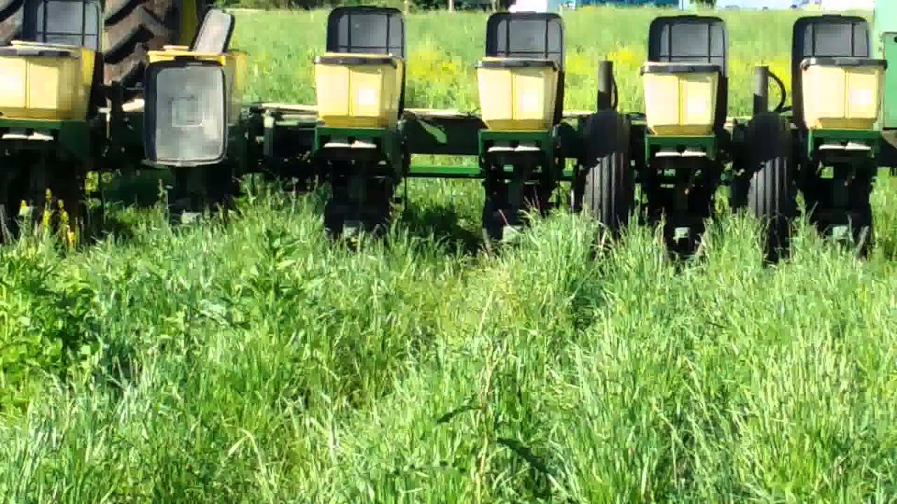 Last field notil corn 2014