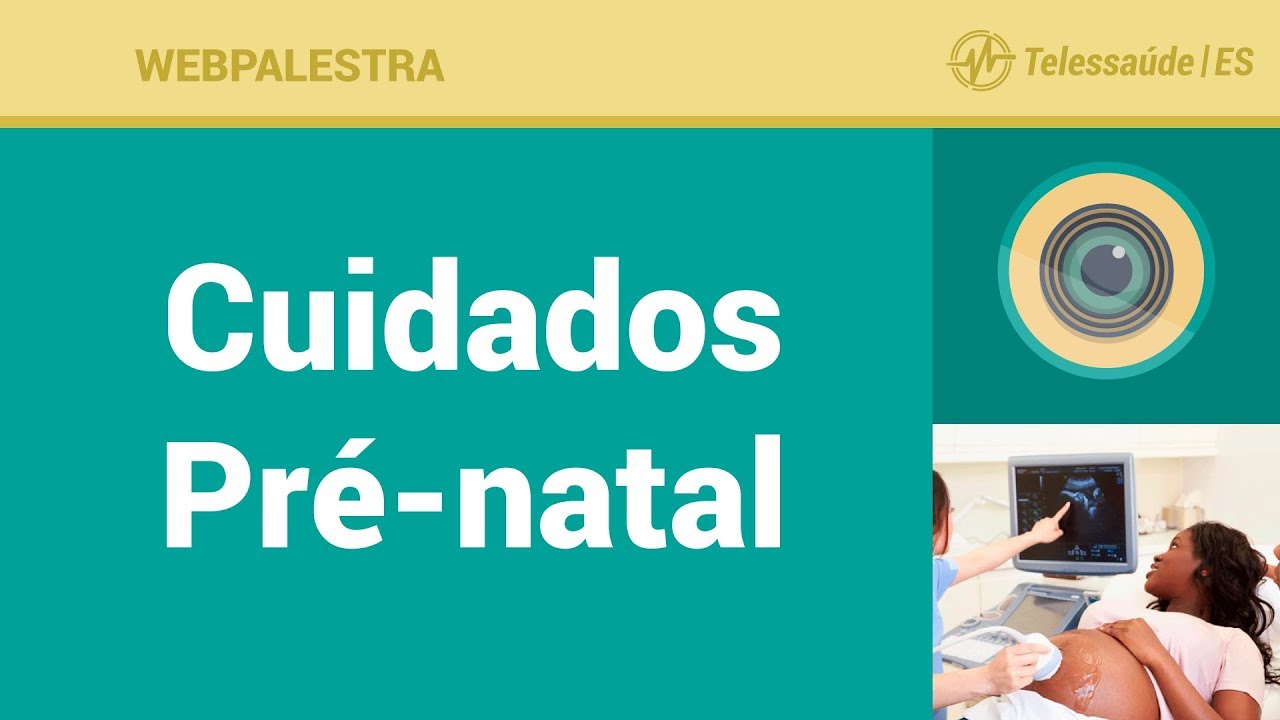 WebPalestra: Cuidados Pré-natal [Tele Enfermagem]
