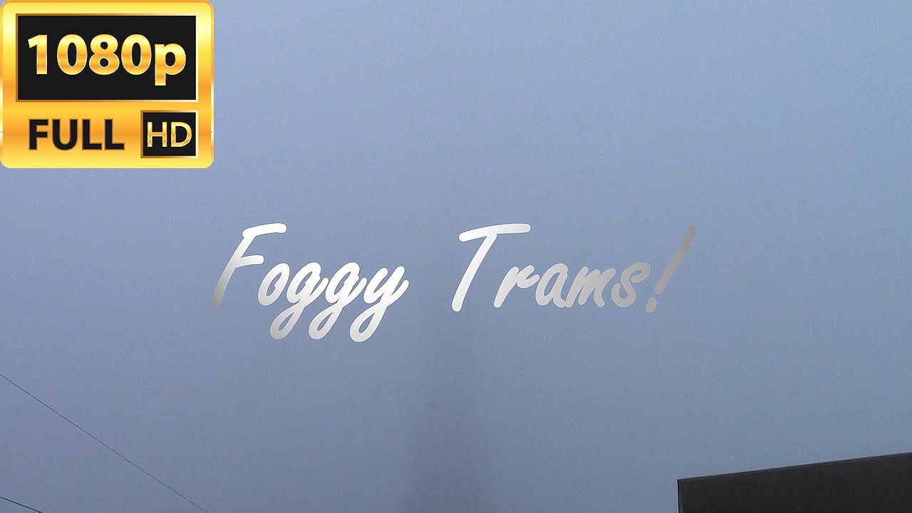 Foggy Trams!