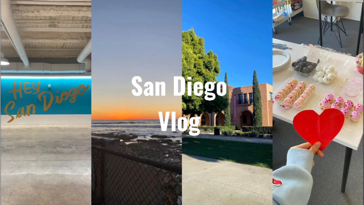 【アメリカvlog】| EFサンディエゴ | どきどき2ヶ月間の留学の始まり