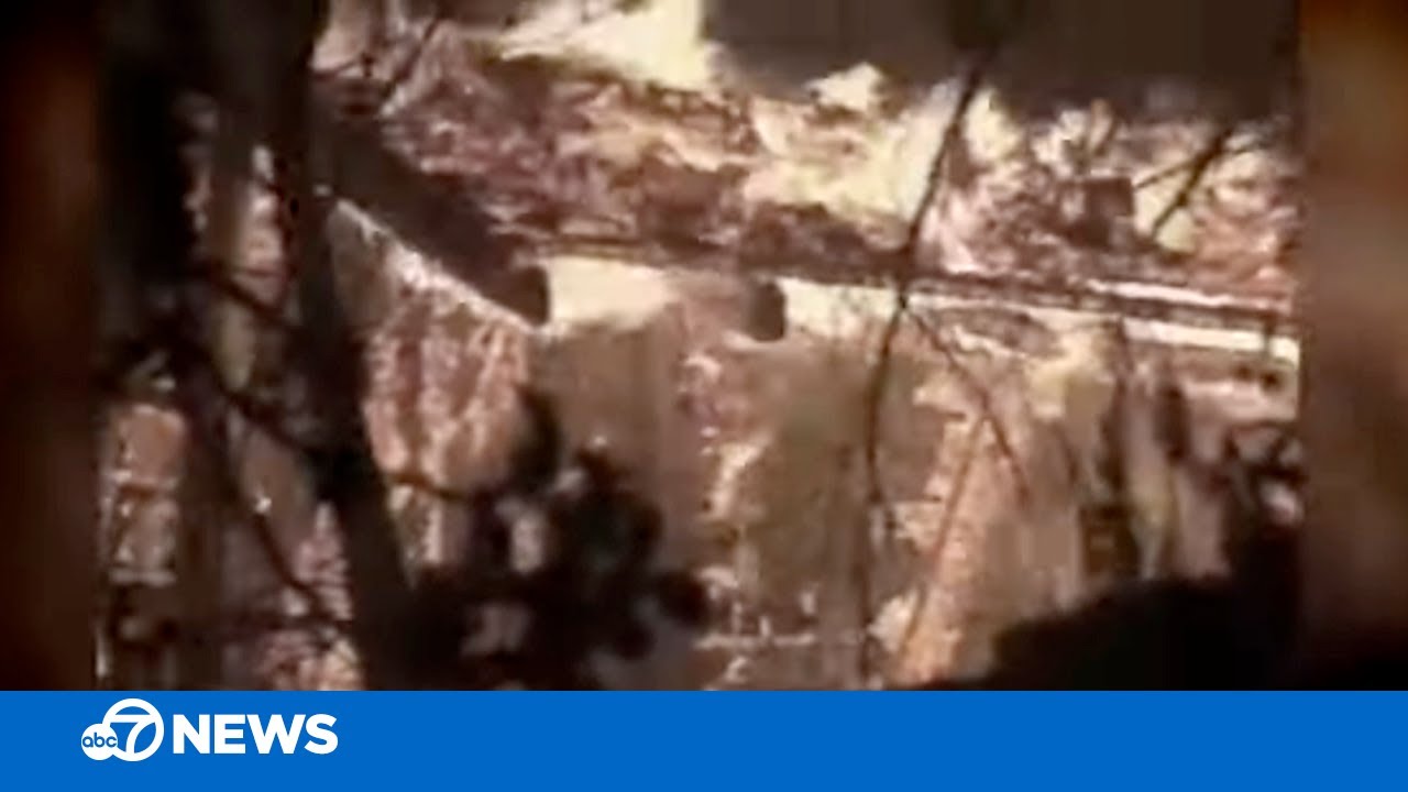 FROM THE ARCHIVES: A look back at devastating Oakland Hills firestorm in 1991