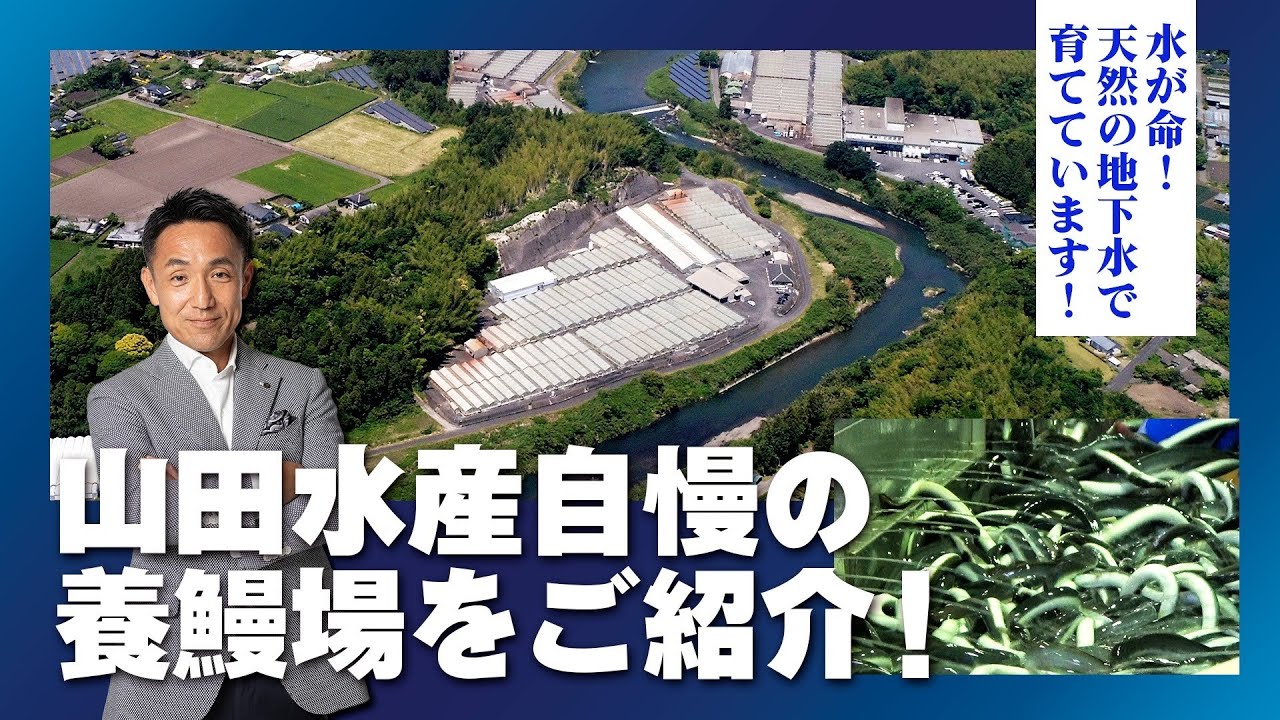 【驚異の450万尾】薬を使わない無薬養鰻のパイオニア！山田水産の養鰻場を社長自らリポート！