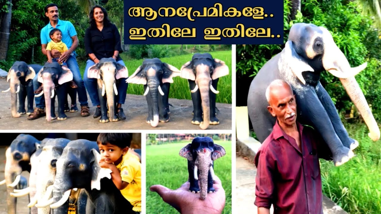 ആനക്കമ്പം കൊണ്ട്‌ ആനകളെ ഉണ്ടാക്കിയ അപൂർവ്വകഥ | Rare story of elephants being made with elephant love