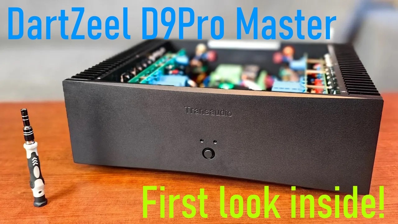 Столько вопросов! Первый взгляд на клон усилителя D9PRO Master DartZeel!