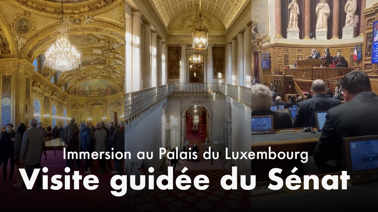 Découverte & visite du Sénat - Immersion au Palais du Luxembourg avec Rémi Cardon