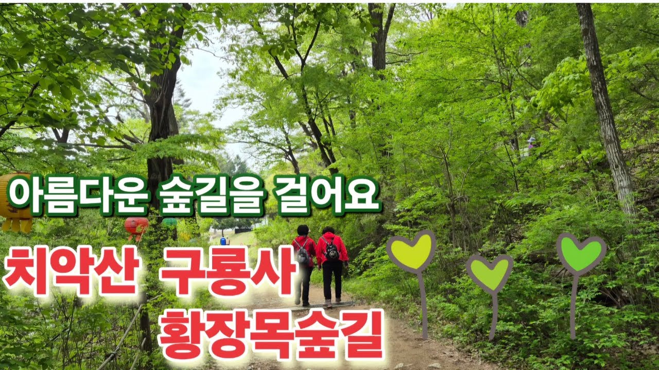 아름다운 숲길을 걸어요.천년고찰 치악산 구룡사와 황장목숲길